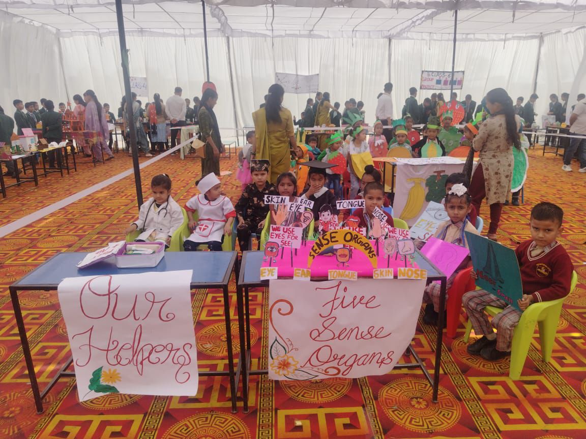 Student Project Display